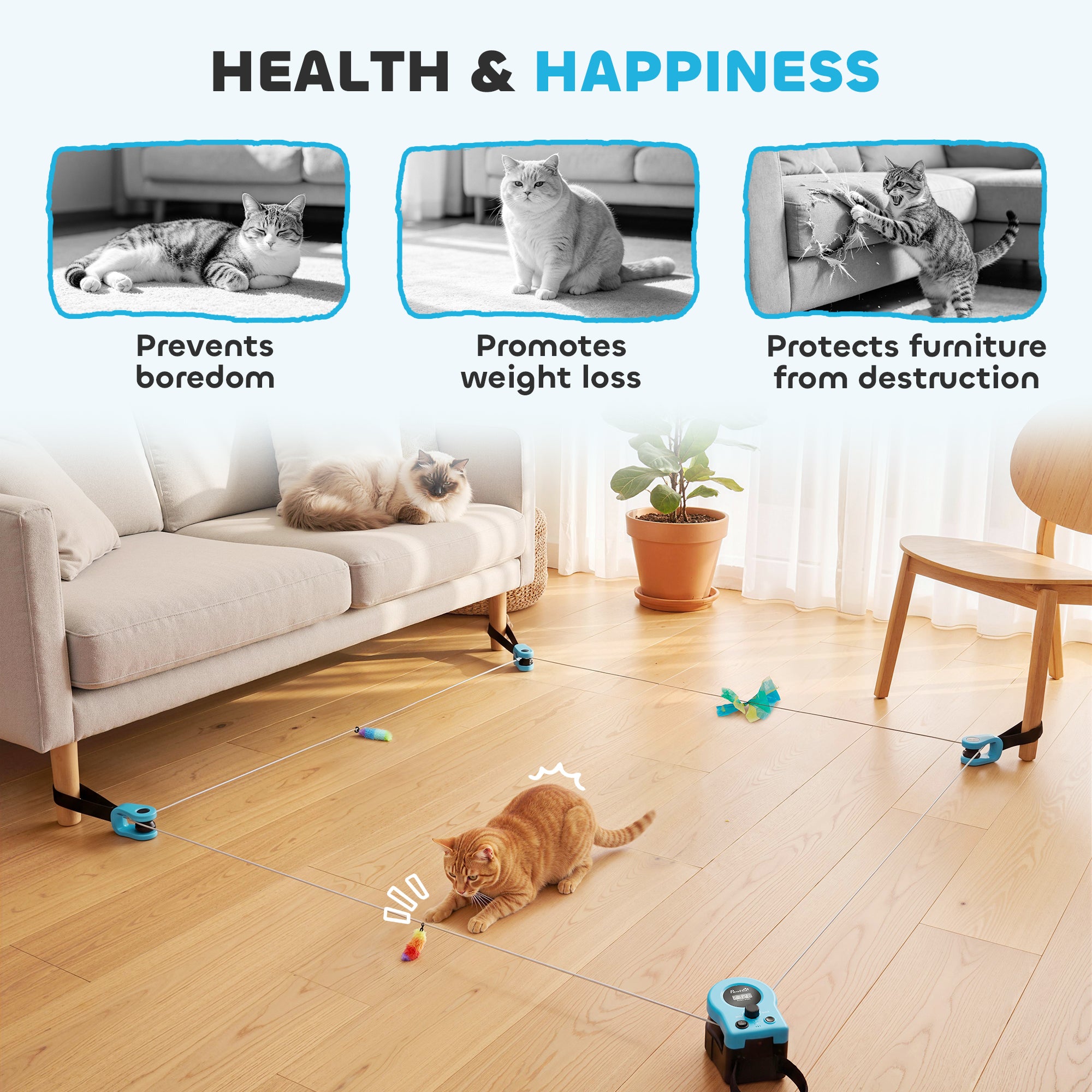 Interactive Cat Toy for Indoor Kittens & Adult with Adjustable Speed, DIY Track & Mouse Sound