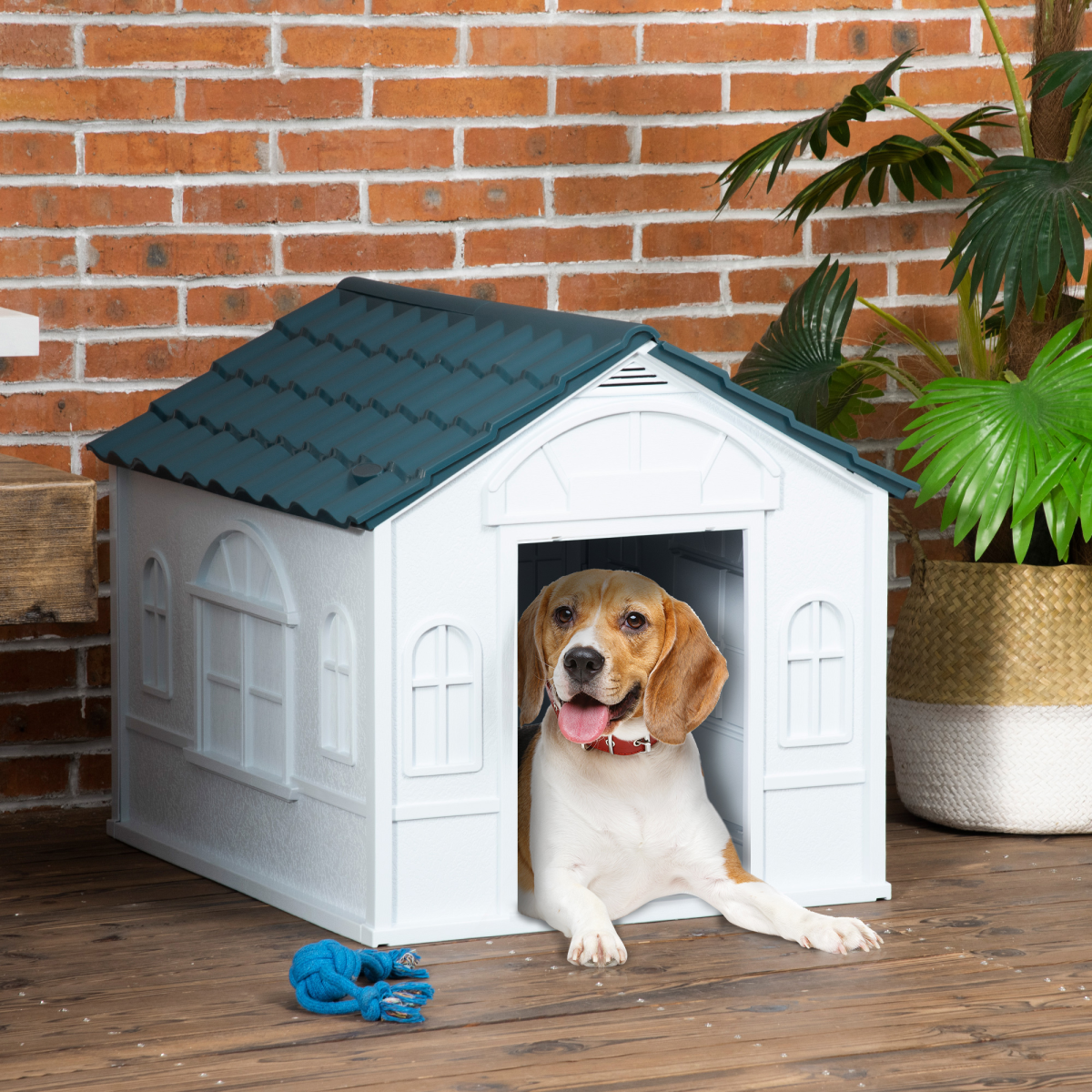 Weather-Resistant Dog House - Puppy Shelter for Medium Dogs, Blue