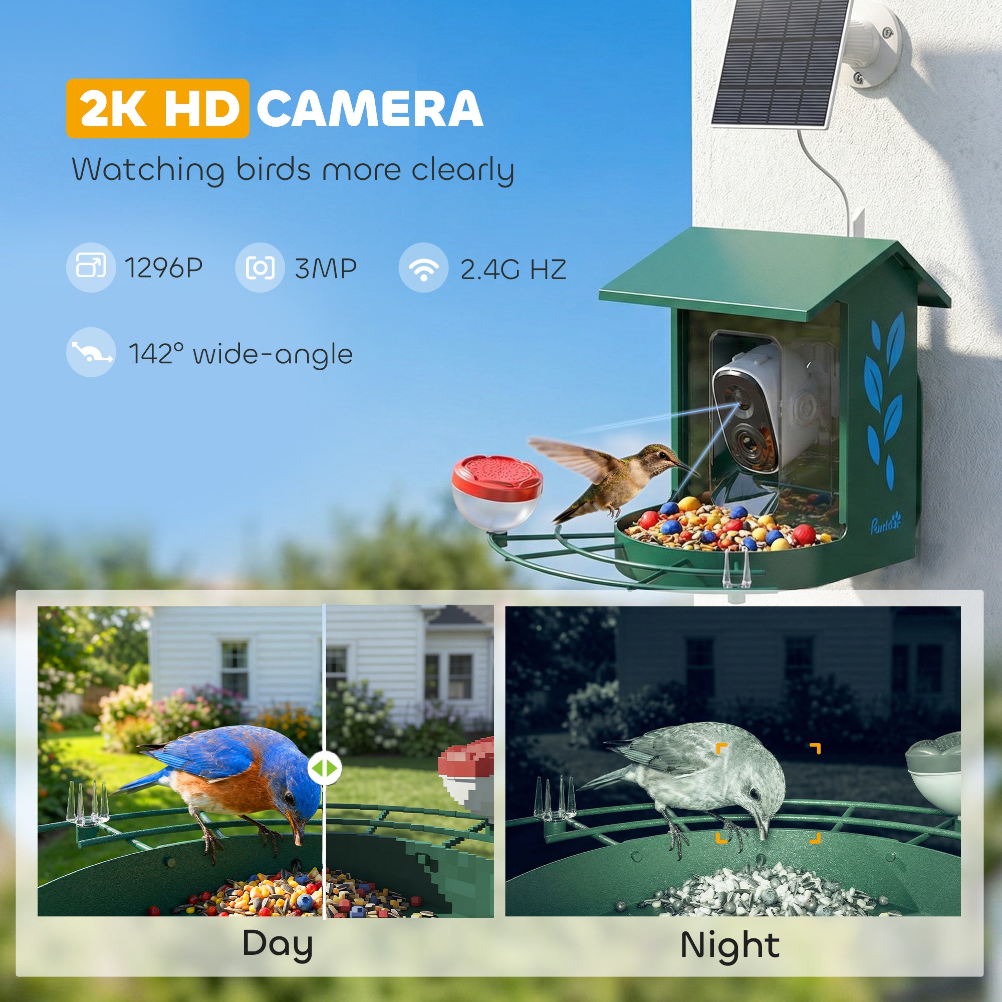 Smart Bird Feeder Camera 2K HD with AI Identifies 16,000+ Species, Auto Capture Video, APP Instant Notifications