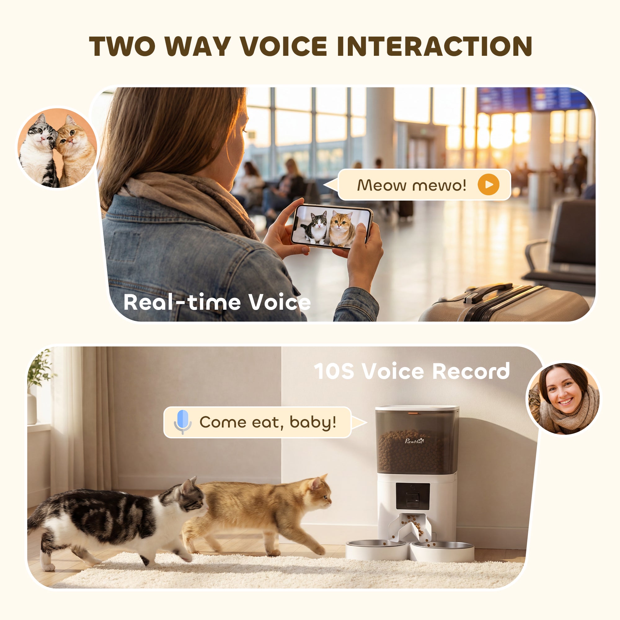 Automatic Cat Feeder for 2 Cats with HD Camera, 2.4G & 5G WiFi Pet Food Dispenser 6L APP Control