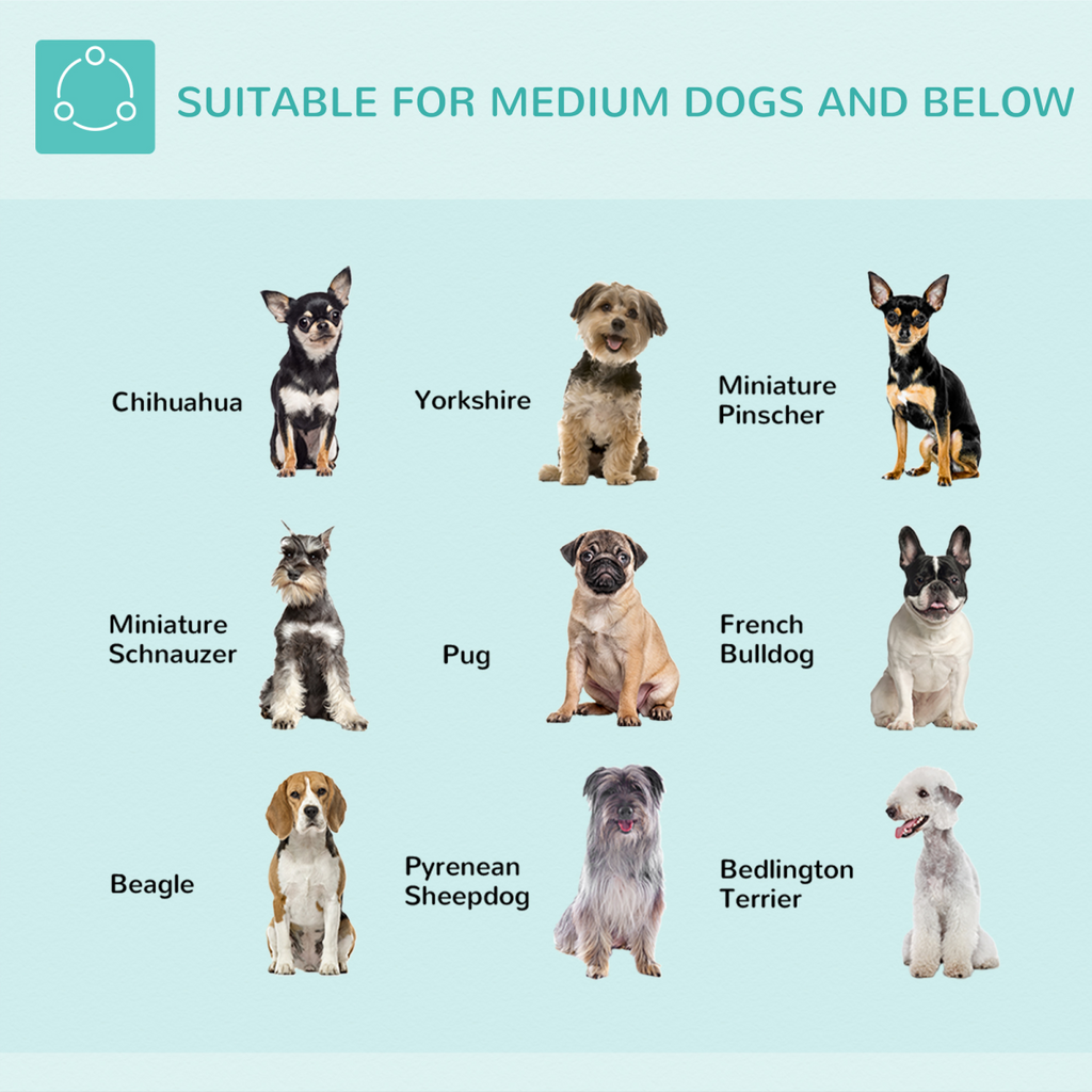 Adjustable Foldable Pet Grooming Arm Clamp | Loop & Haunch Holders (Medium Dogs)