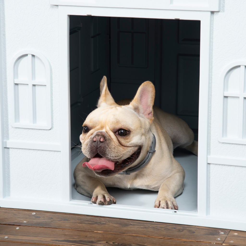 Weather-Resistant Dog House - Puppy Shelter for Medium Dogs, Blue