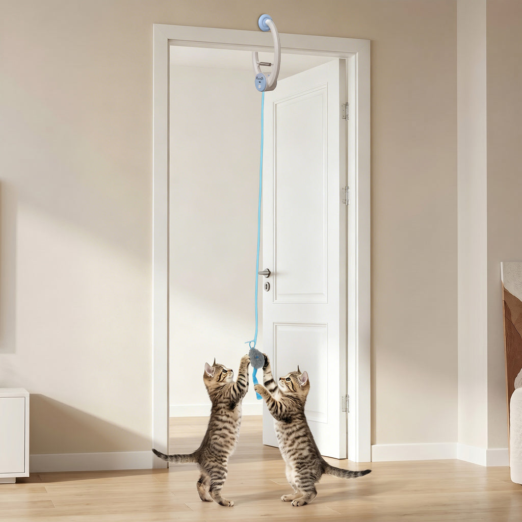 Interactive Cat Toys for Indoor Kittens & Adult, USB Rechargeable Door Hanging Bouncing Mouse Teaser