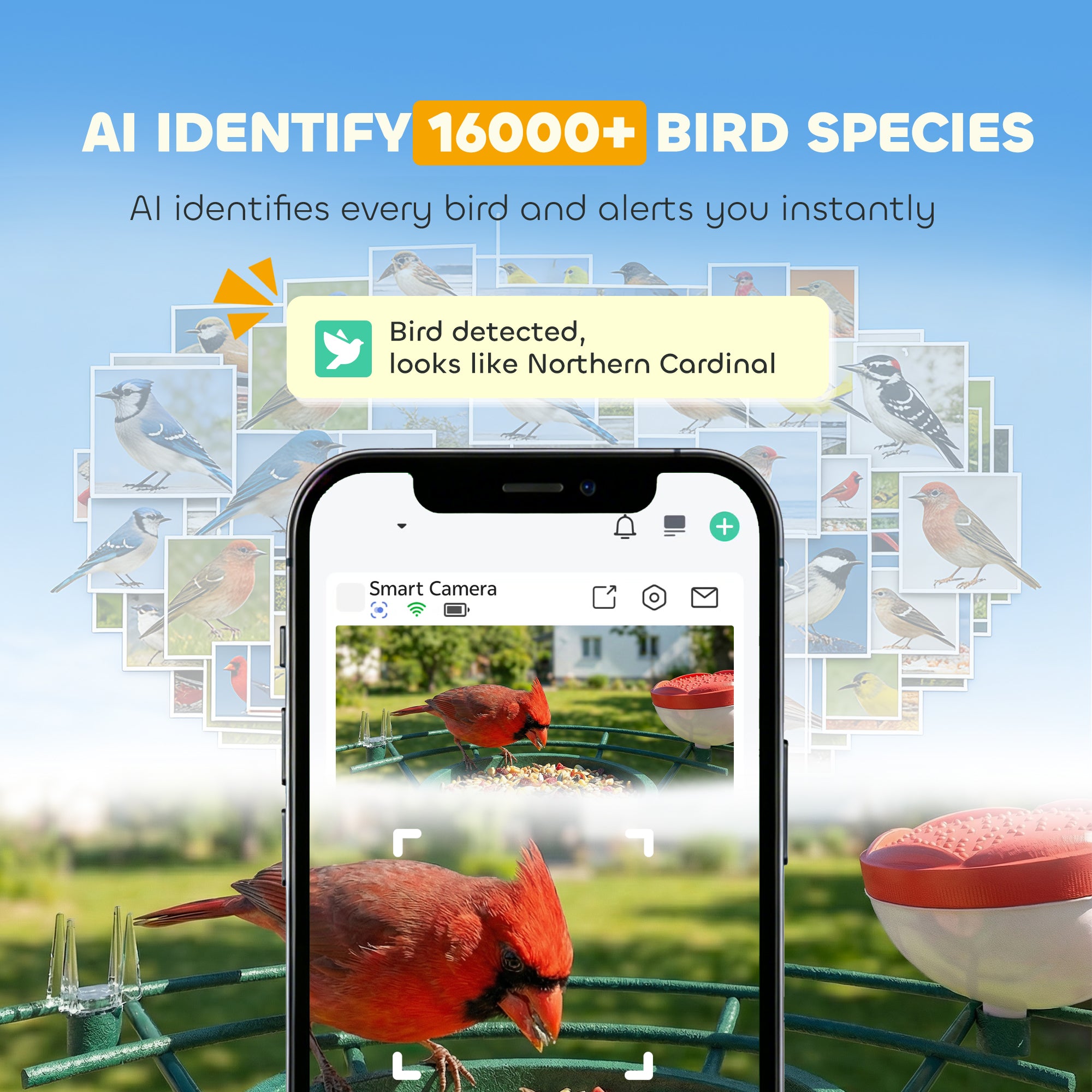 Smart Bird Feeder Camera 2K HD with AI Identifies 16,000+ Species, Auto Capture Video, APP Instant Notifications