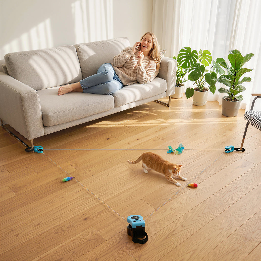 Interactive Cat Toy for Indoor Kittens & Adult with Adjustable Speed, DIY Track & Mouse Sound