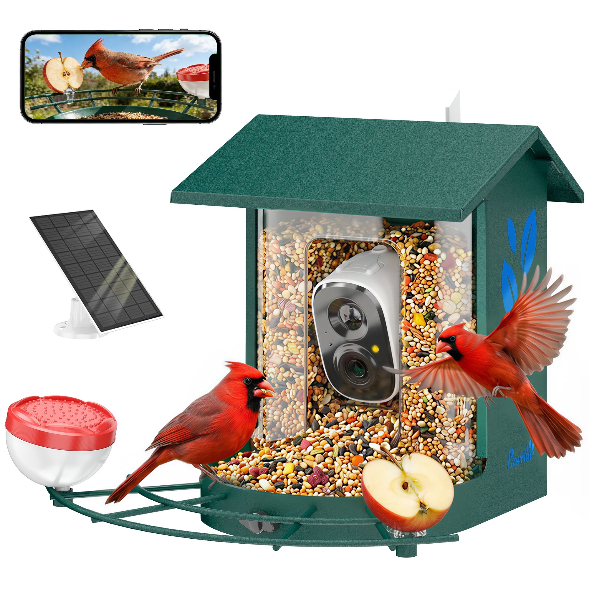 Smart Bird Feeder Camera 2K HD with AI Identifies 16,000+ Species, Auto Capture Video, APP Instant Notifications