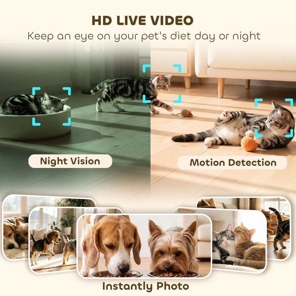 Automatic Cat Feeder for 2 Cats with HD Camera, 2.4G & 5G WiFi Pet Food Dispenser 6L APP Control